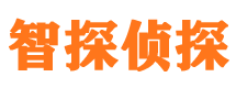 东平外遇调查取证